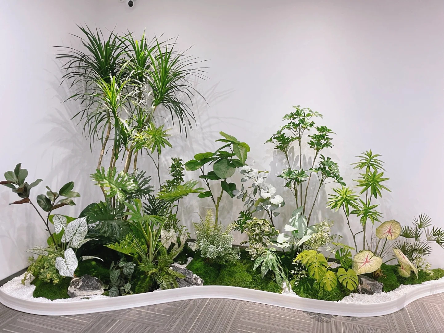 了解海曙植物租摆价格,开启绿色生活低成本新体验